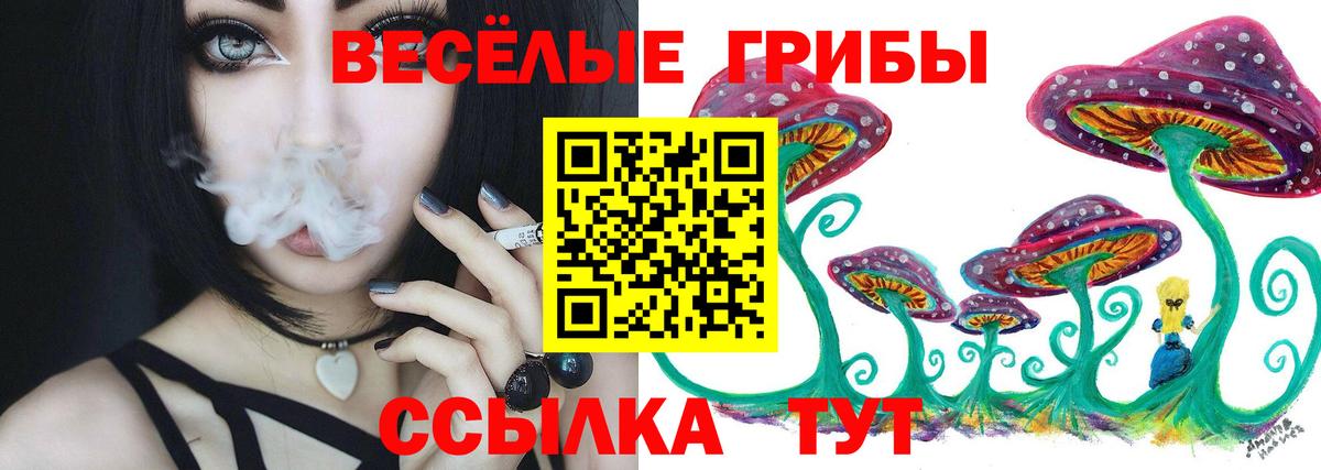 Галлюциногенные грибы MAGIC MUSHROOMS  Вход с VPN  Калач-на-Дону  где купить наркотик  Галлюциногенные грибы мицелий 